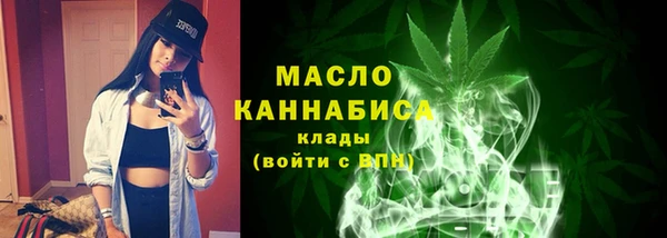 крисы Краснослободск