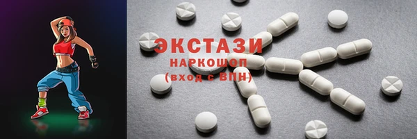 крисы Краснослободск