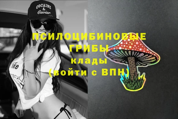 молекула духа Краснотурьинск