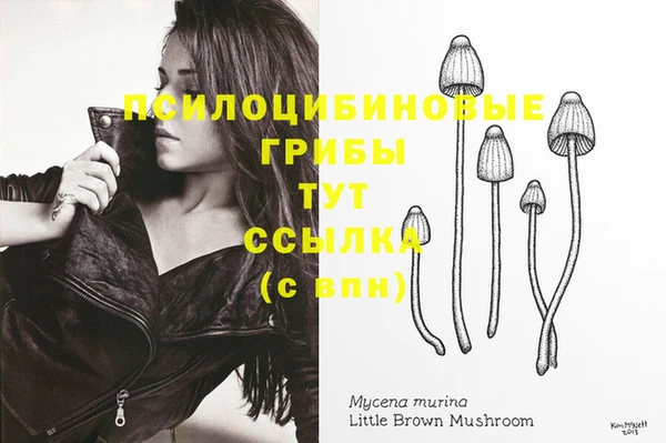 молекула духа Краснотурьинск
