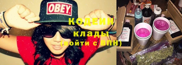 крисы Краснослободск