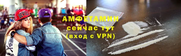 крисы Краснослободск