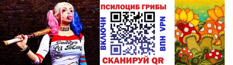 Псилоцибиновые грибы Cubensis  Купить закладки  Спас-Деменск 